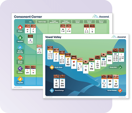 Three instructional phonics posters for blends, decoding skills, and vowels.