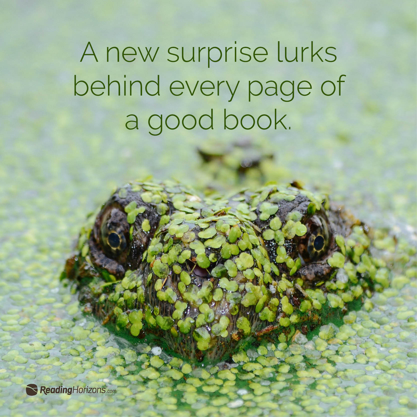 A meme of a snake coming out of a swamp with the words "A new surprise lurks behind every page of a good book."