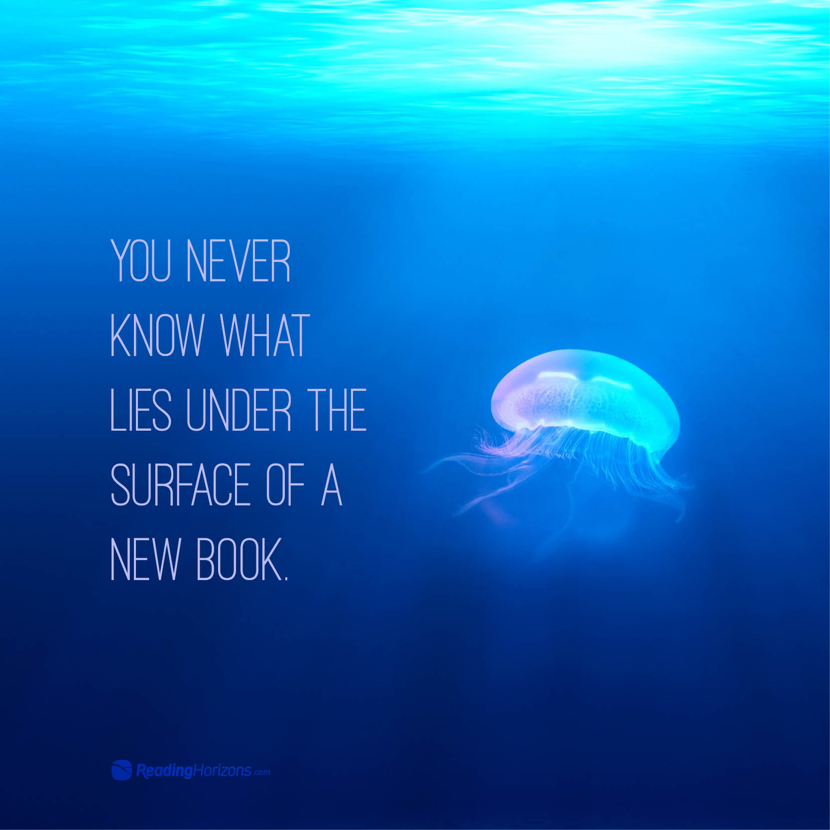 A meme of a jellyfish in the ocean with the words "You never know what lies under the surface of a new book."