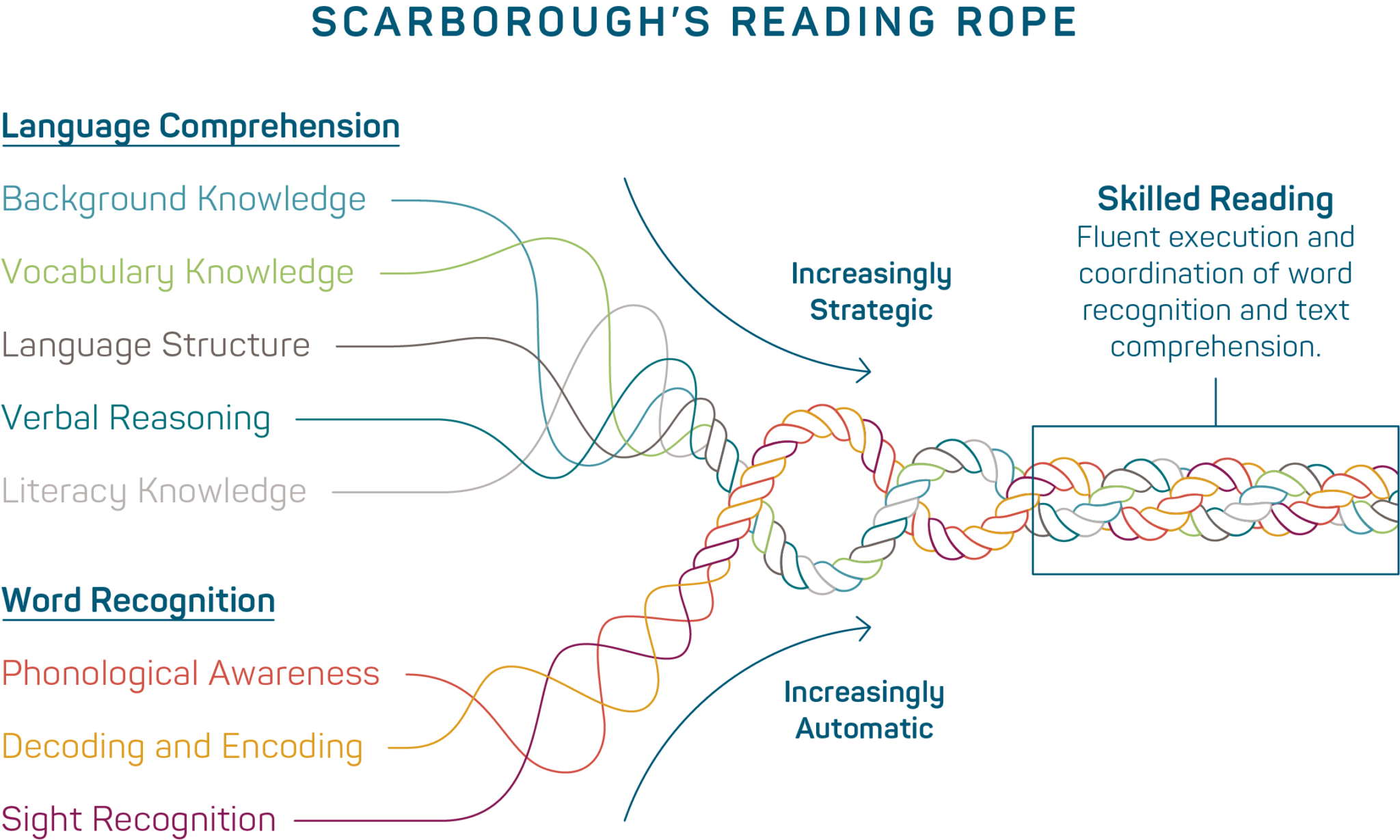 The Science of Reading: How to Eliminate Grade Retention