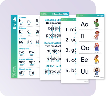 Two phonics classroom posters showing consonant and vowel sound-spelling patterns.